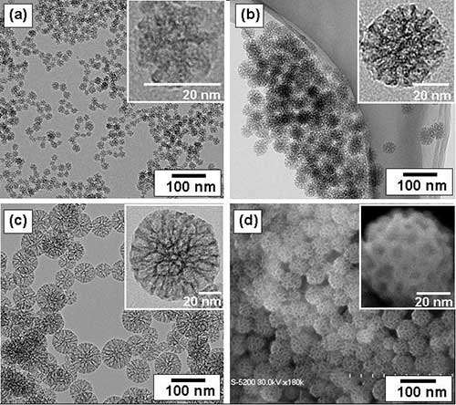 hasil-mikroskop-tem-dan-sem