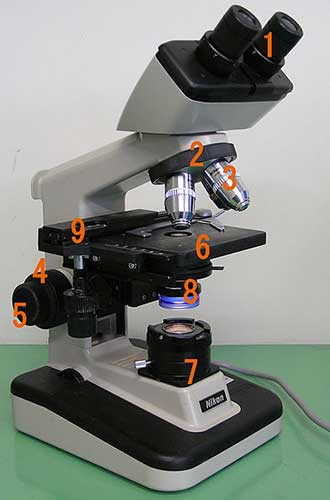 mikroskop-iluminasi-stereo