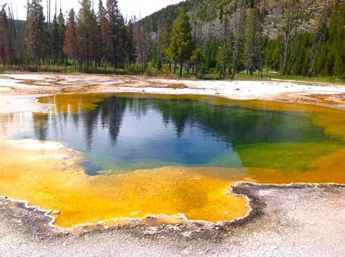 termofil-yellowstone