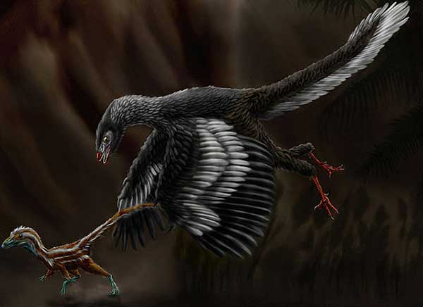 ilustrasi-archaeopteryx
