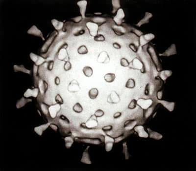 Rotavirus