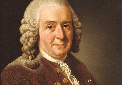 carolus-linnaeus