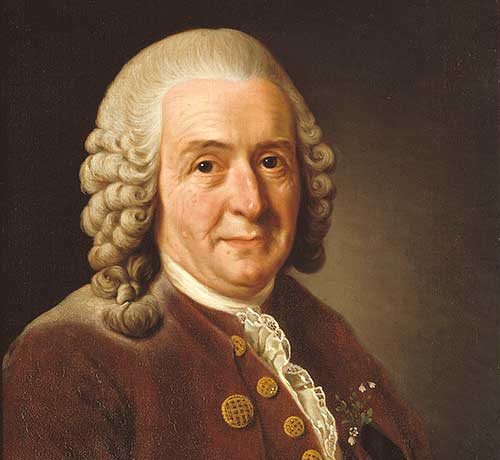 carolus-linnaeus