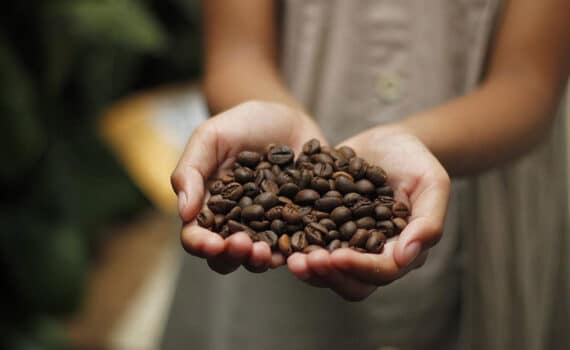 Mengenal Tanaman Kopi di Indonesia: Jenis dan Manfaatnya biji-kopi-panggang