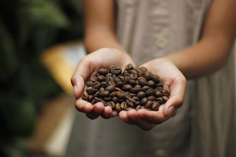 biji-kopi-panggang